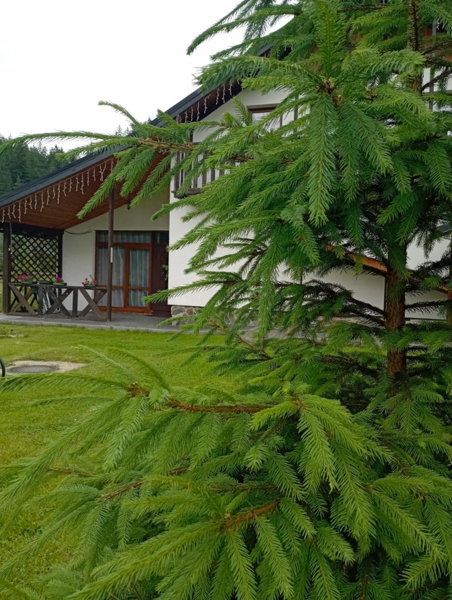 Gasthaus U Anastasii I Sofii Bilya Richki Mykulytschyn Exterior foto